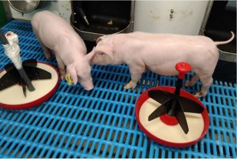 Noticia_UdL_11_12_25_2